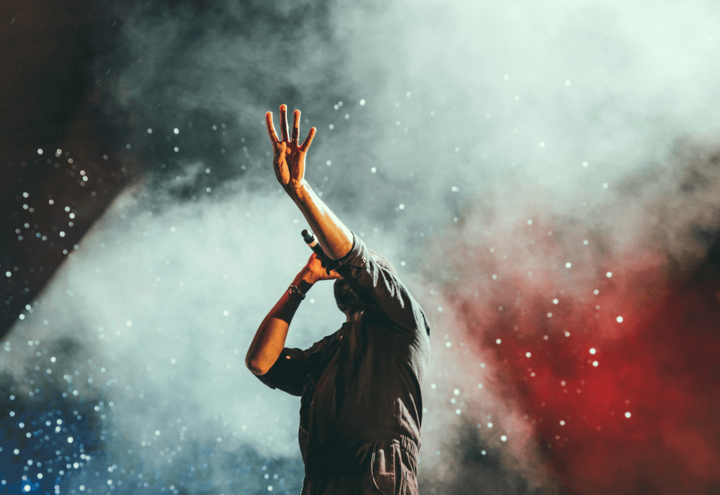 Celebrity Concert Performance
